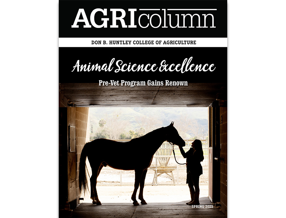 A student and Arabian horse seen in silhouette in a barn.