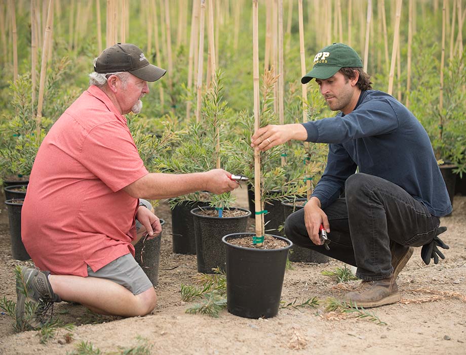 A student intern and mentor kneel and inspect a plant