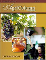 Agricolumn 2006