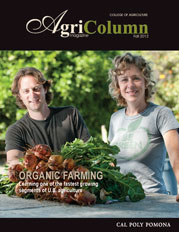 Agricolumn 2012