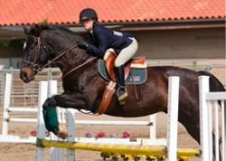 A girl riding a horse in the middle of a jump