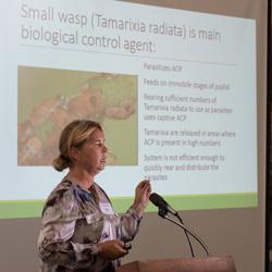 Plant Science Professor Valerie Mellano presents at the ARI Showcase