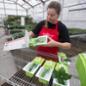 A student worker packs a plant for shipping.