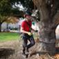 An arborist in tree-climbing gear at a demonstration