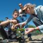 Cal Poly Pomona students measure the growth of a coffee plant