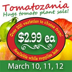 Tomatozania logo