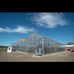 Greenhouse Exterior