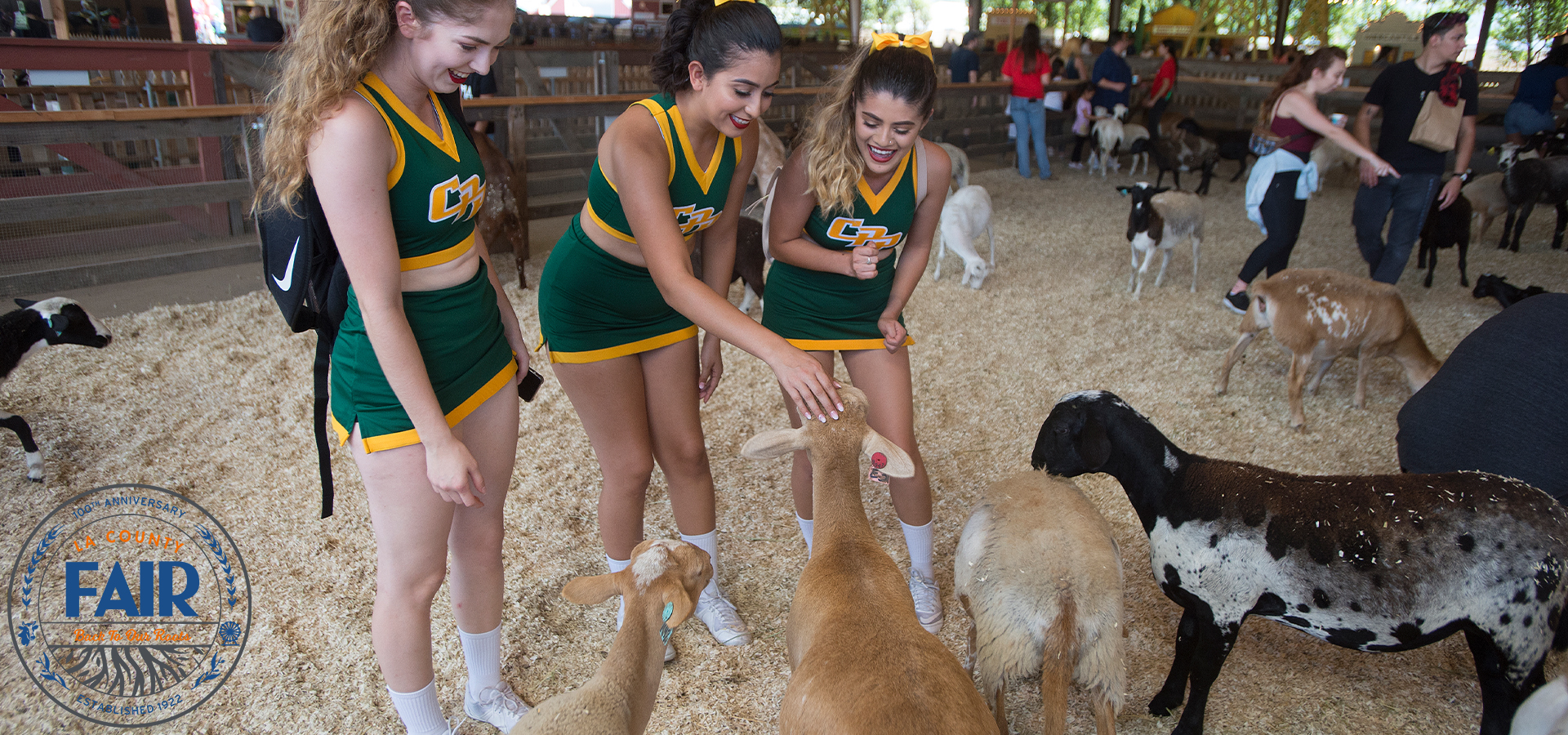 Cal Poly Pomona cheerleaders interact with goats from the Cal Poly Pomona farm.