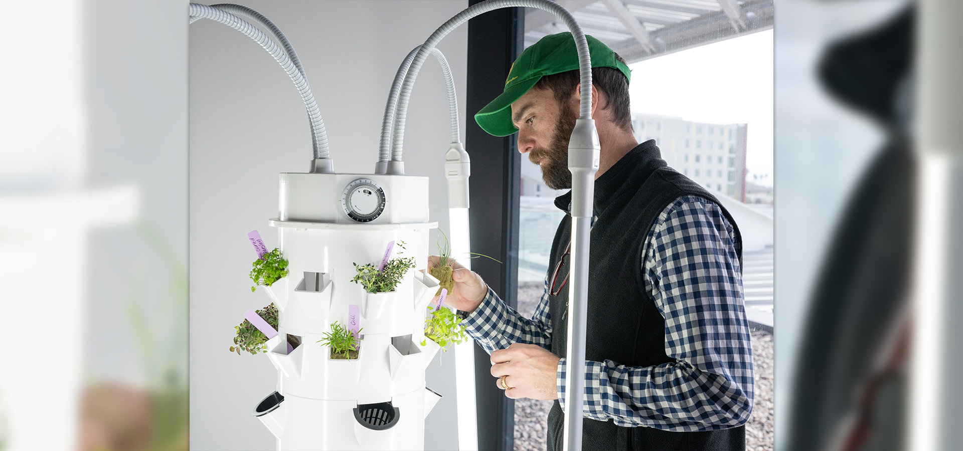 Associate Professor Aaron Fox places plants in the garden. 