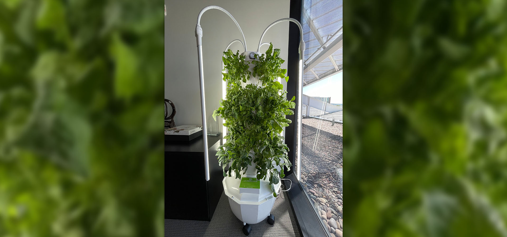 The fully assembled vertical garden.