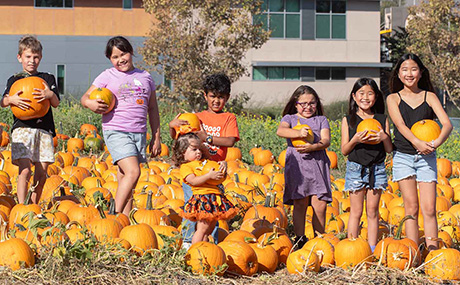 kids posing in the pumpkin patch