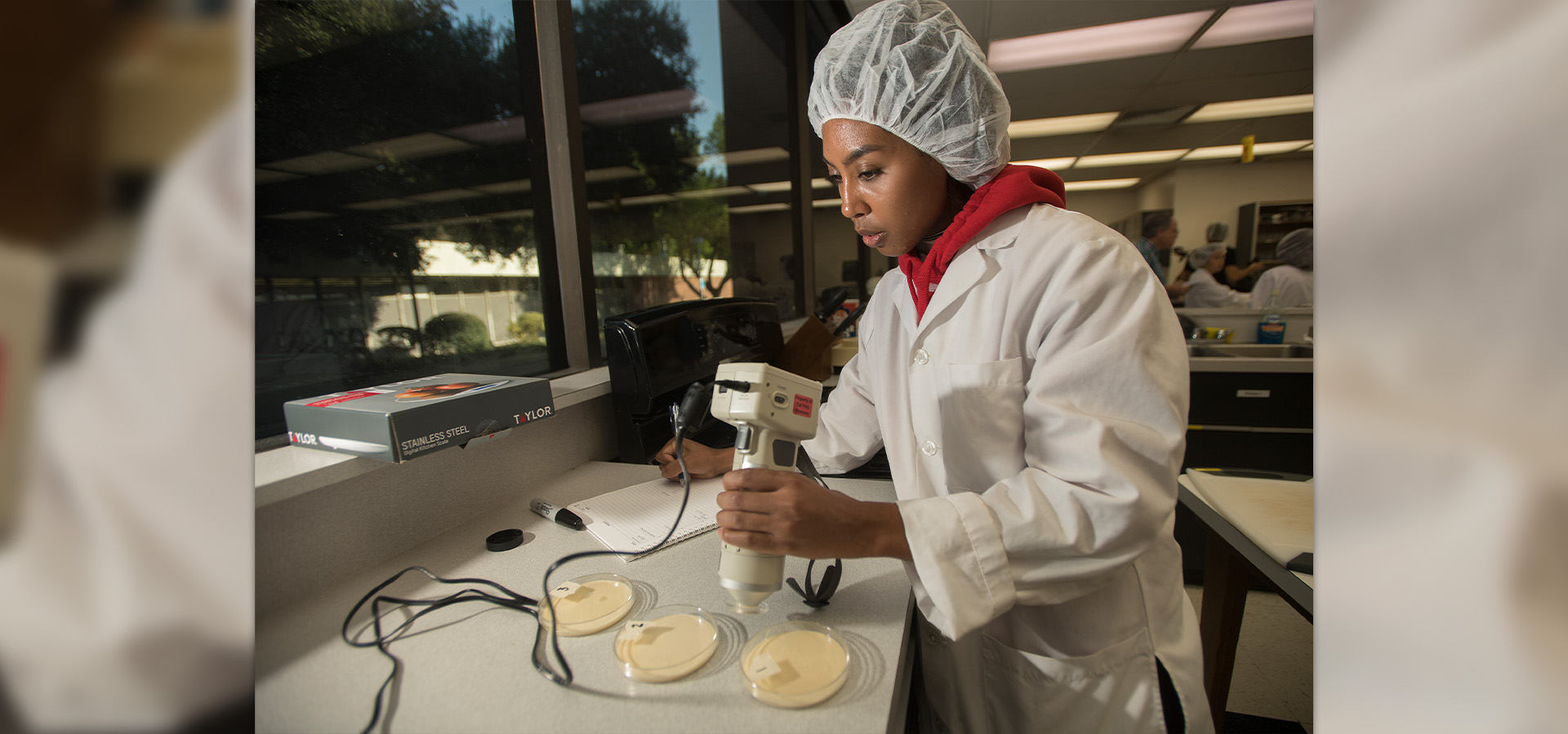 A students works in one of the food science labs
