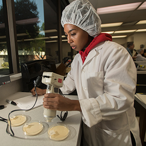 Student working in food science lab kitchen