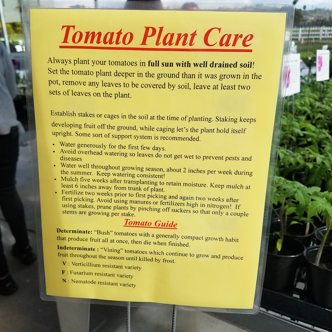 A sign at Tomatozania with information on how to care for the plants