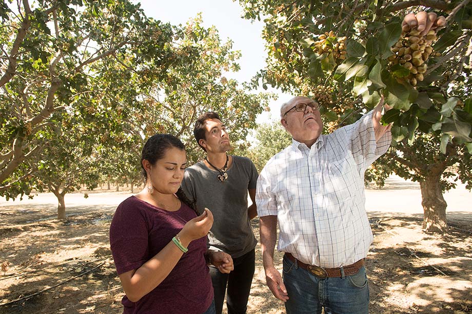 Don Huntley shows a man and a woman pistachios on his farm.