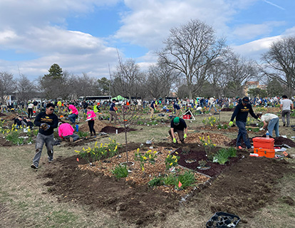 Students work on outdoor plots in one of the events.