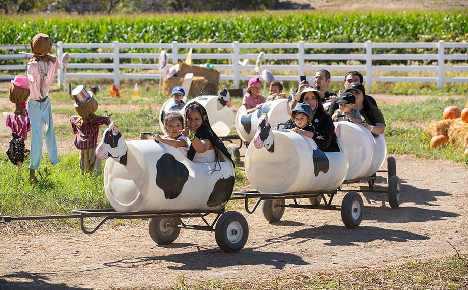 Kids in the cow train