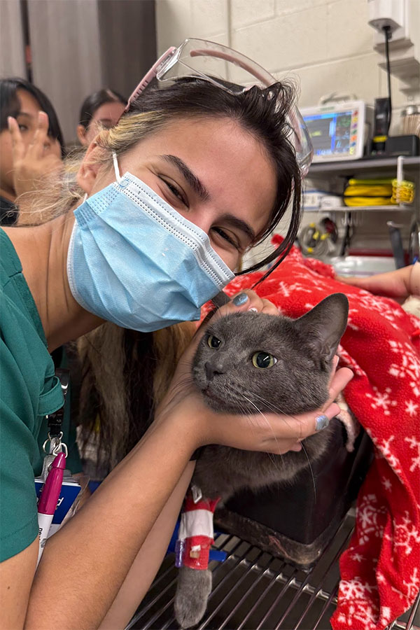 Arellano in a surgical mask with a cat.