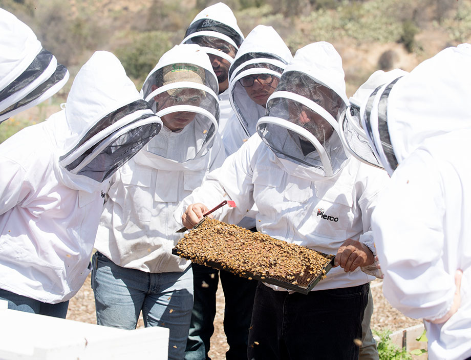 Students and an instructor in protective gear examine a section of a beehive.