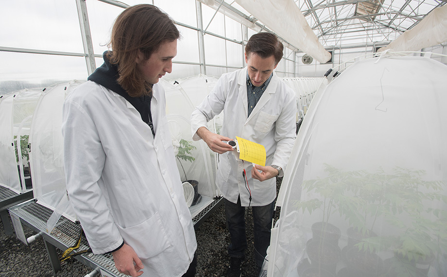 Two male students in white lab coats examine equipment in a greenhouse.