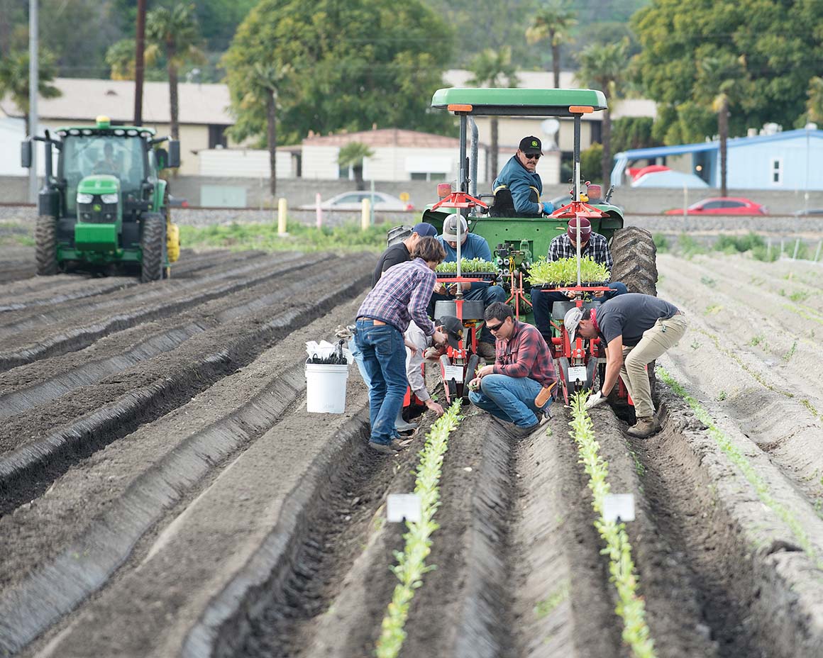 Students use a tractor to plant radishes at Spadra Farm.