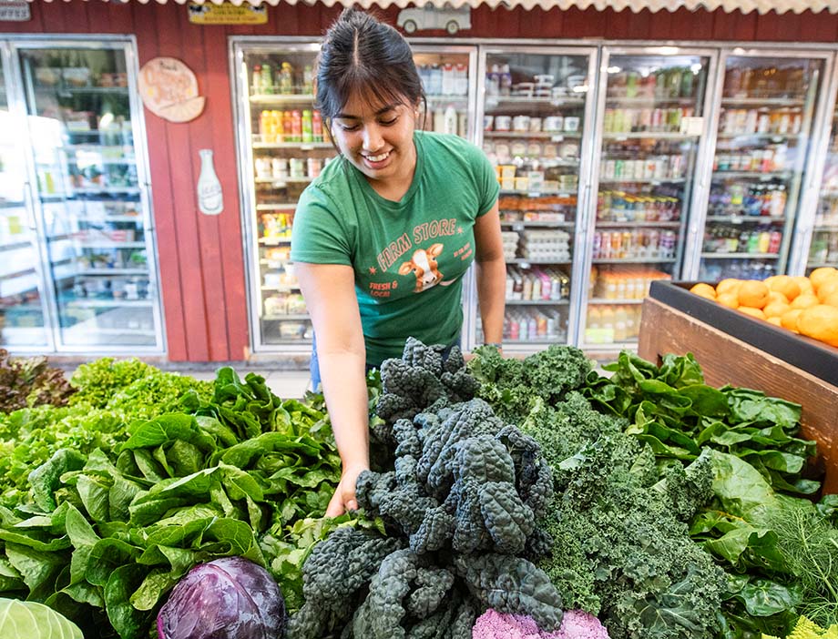 A female student work lays out kale at the Farm Store.