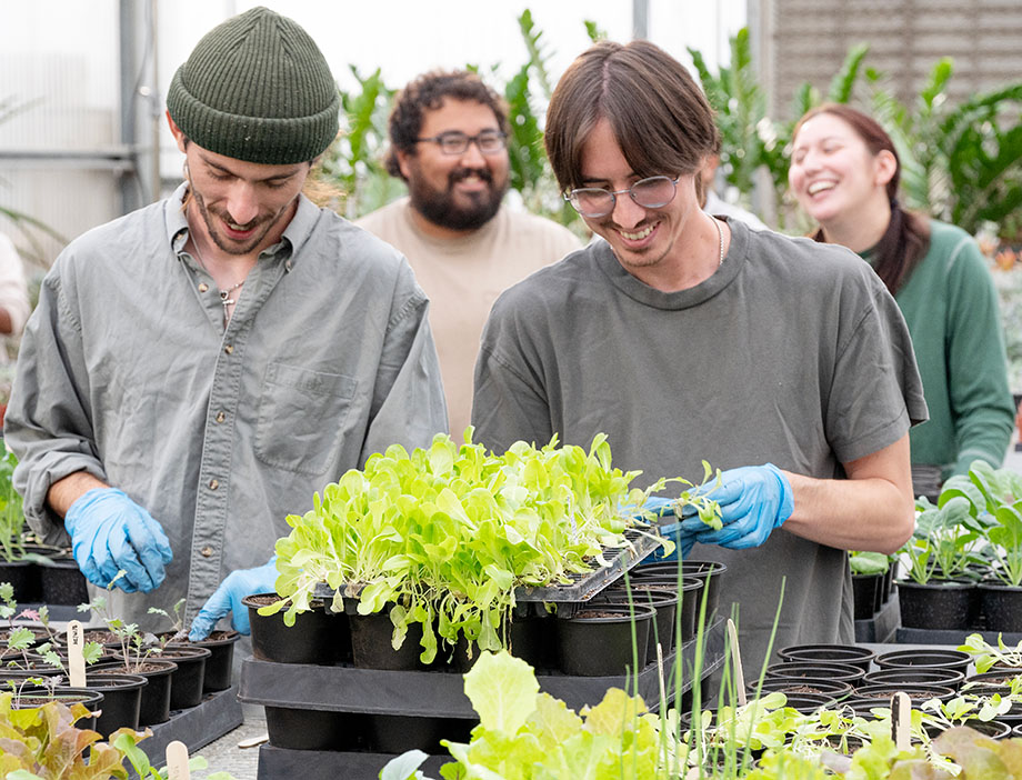 Students work with plants in a greenhouse