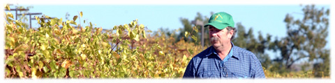 Dan Hostetler in vineyard