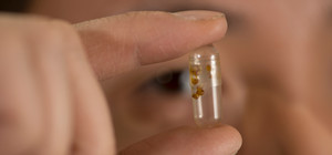 Close-up of plant scientist looking at capsule between fingers