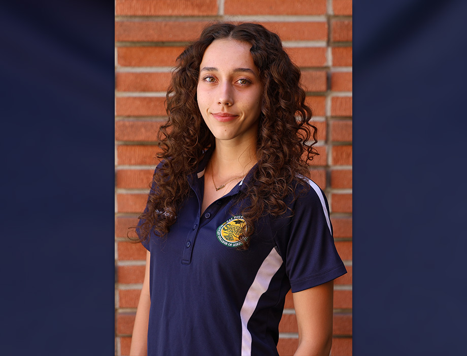 Bella Echavarri
