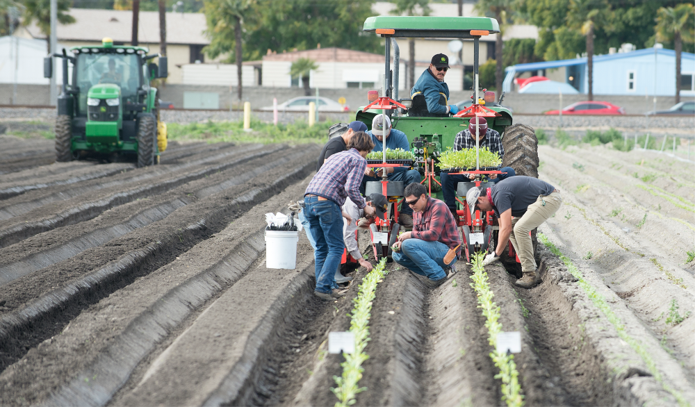 Students in a field with a tractor