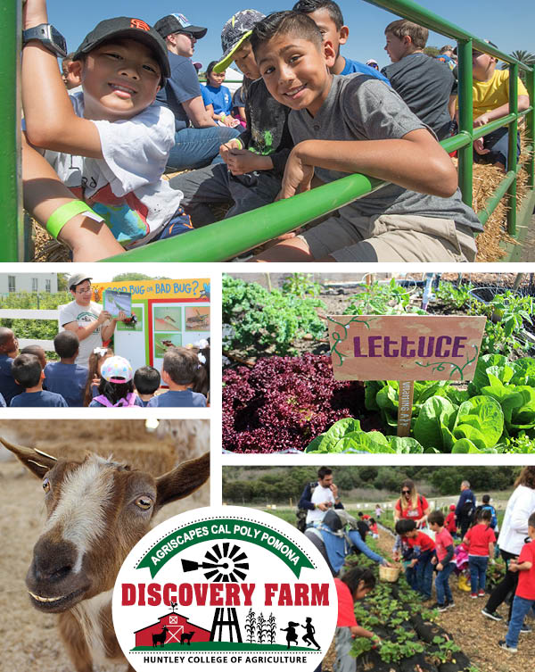 Agriscapes Cal Poly Pomona Discovery Farm Huntley College of Agriculture