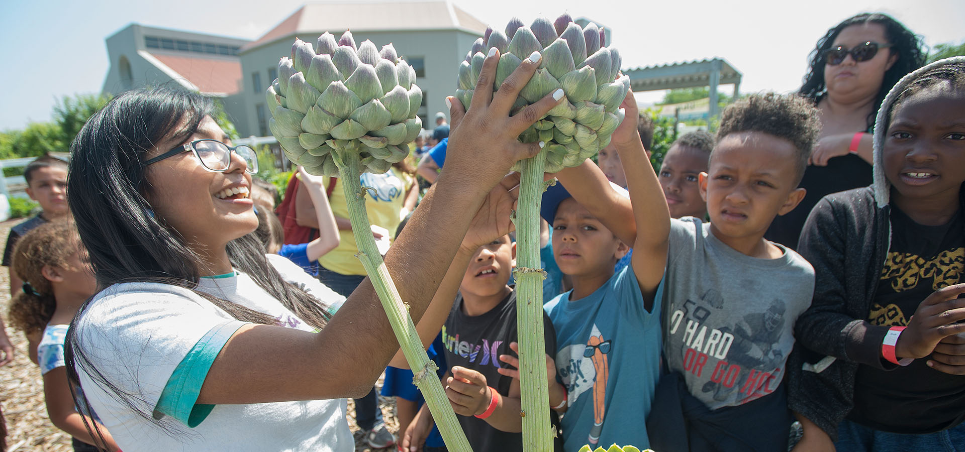 Schoolchildren cluster around and handle an artichoke plant