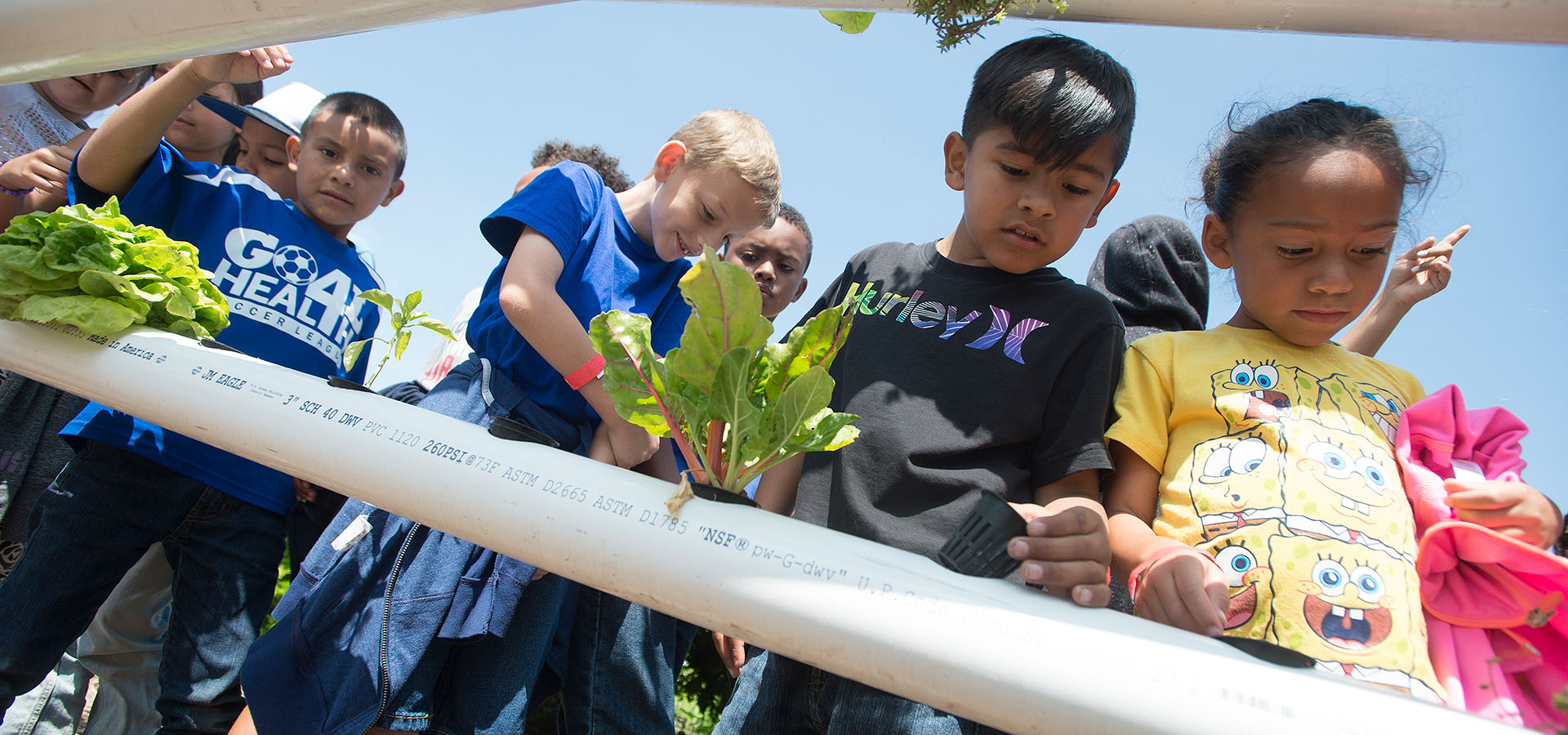 Schoolchildren look at plants growing in an outdoor hydroponic system.