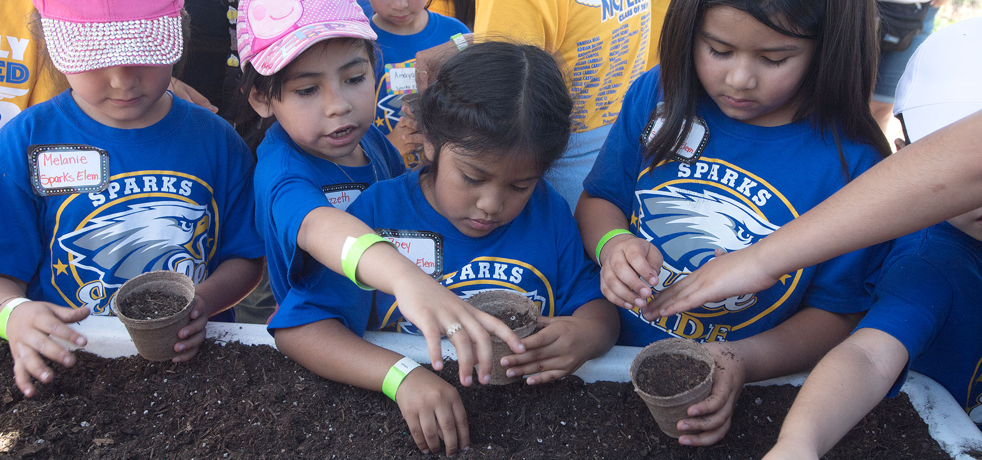 Schoolchildren work with soil. 