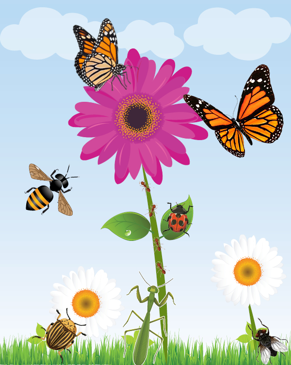 flower with butterflies, wasp, lady bug, fly, and praying mantis around it