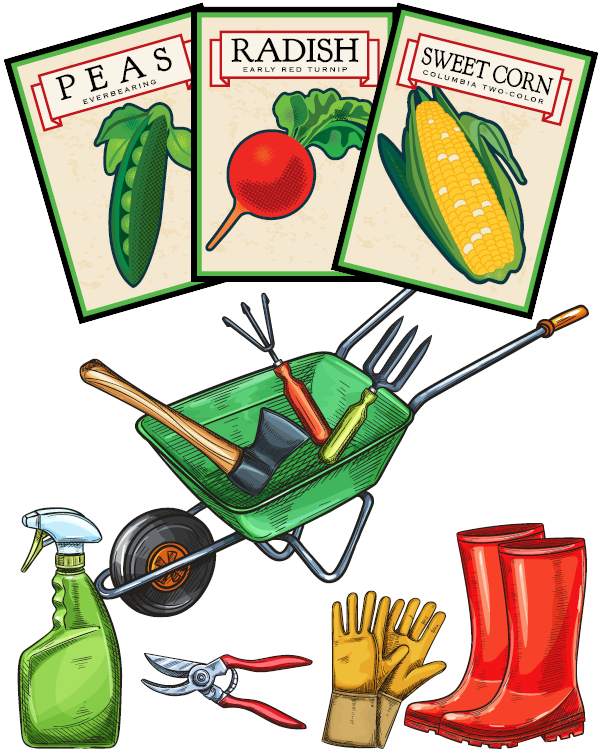 seed packets for peas, radish, and sweet corn. Gardening tools