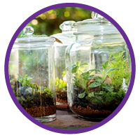 terrariums