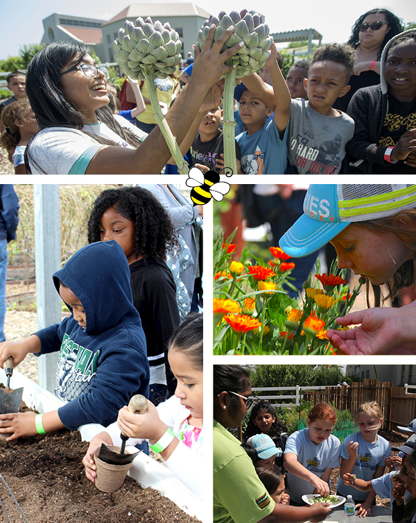 collage of children in the garden