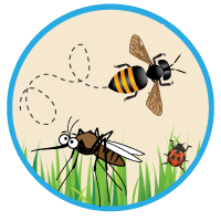 An illustration of a mosquito, bee, and lady bug