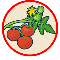 Decorative image of tomatoes