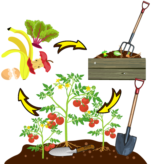composting cycle