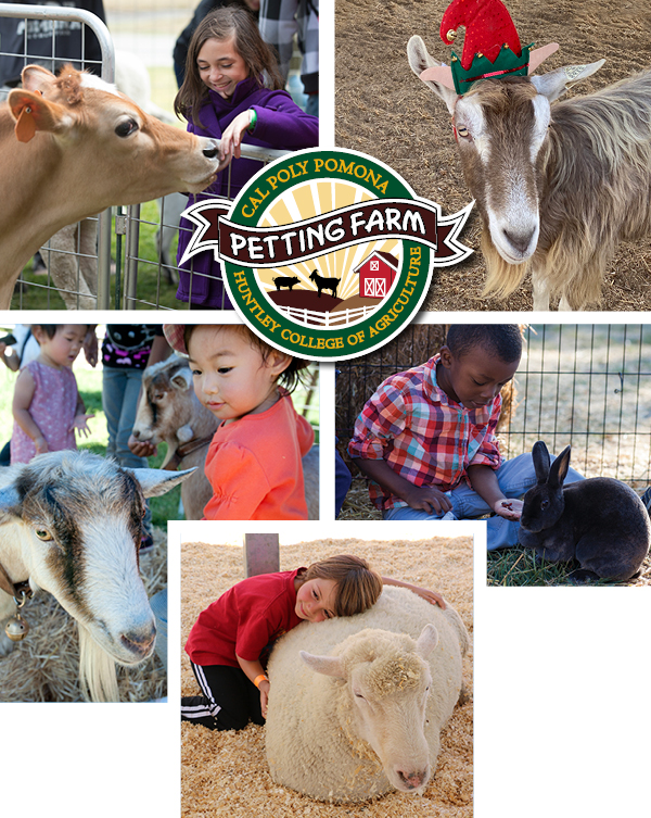 Cal Poly Pomona Petting Farm.  Huntley College of Agriculture