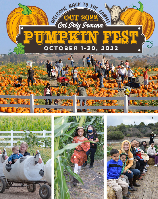 Welcome back to the farm.  October 2022 Cal Poly Pomona Pumpkin Fest.  October 1-30, 2022