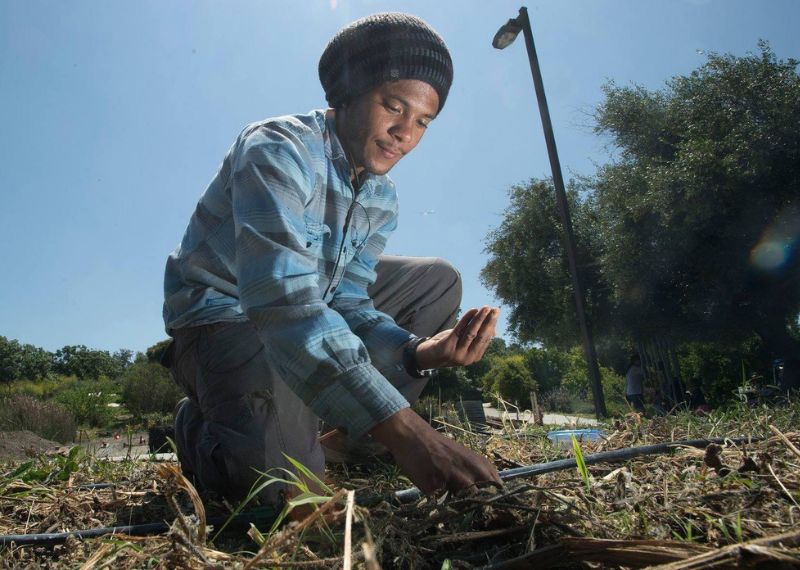  A person kneels in a garden, examining the soil and plants on a sunny day during an outdoor service activity.