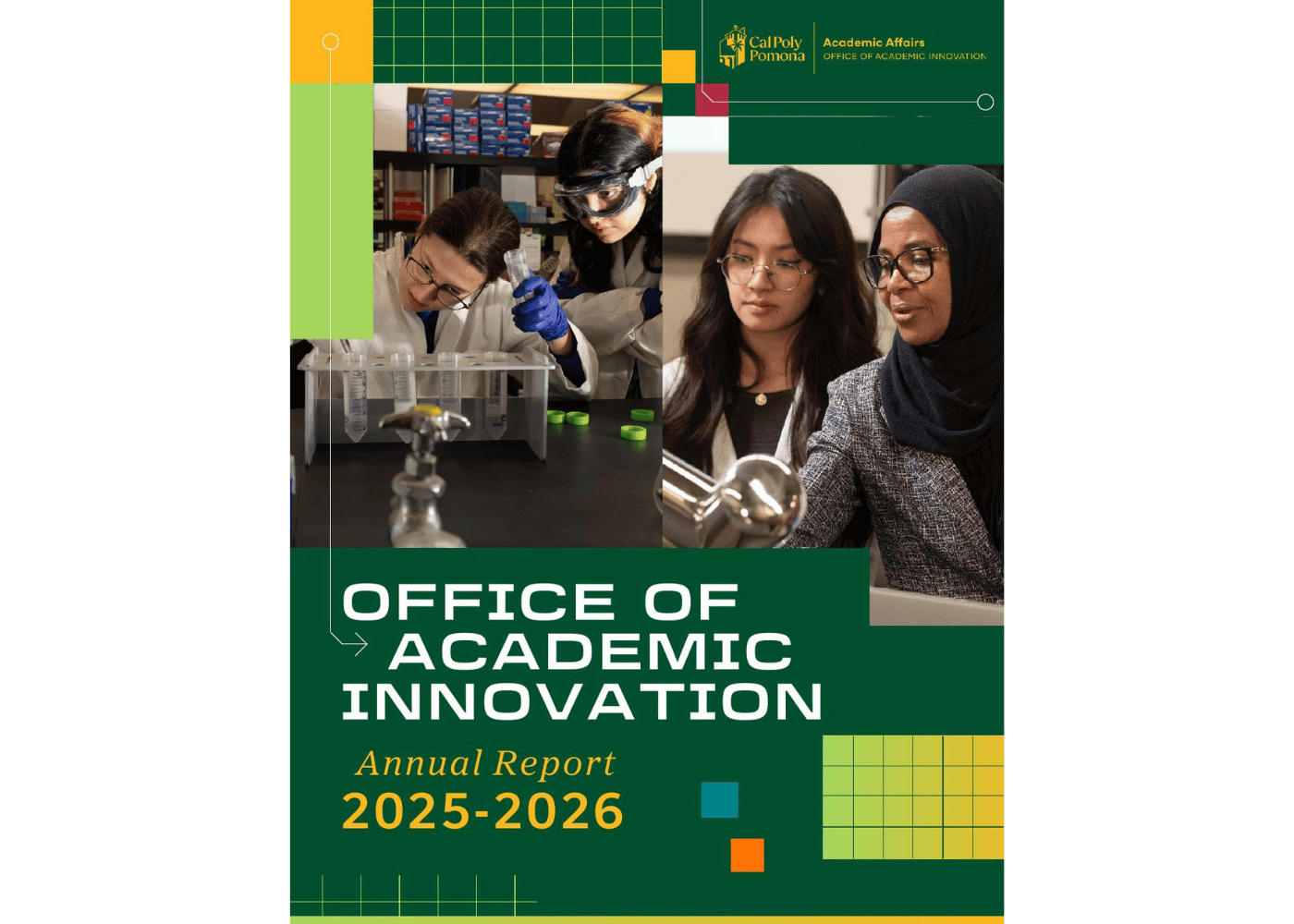 OAI Annual Report