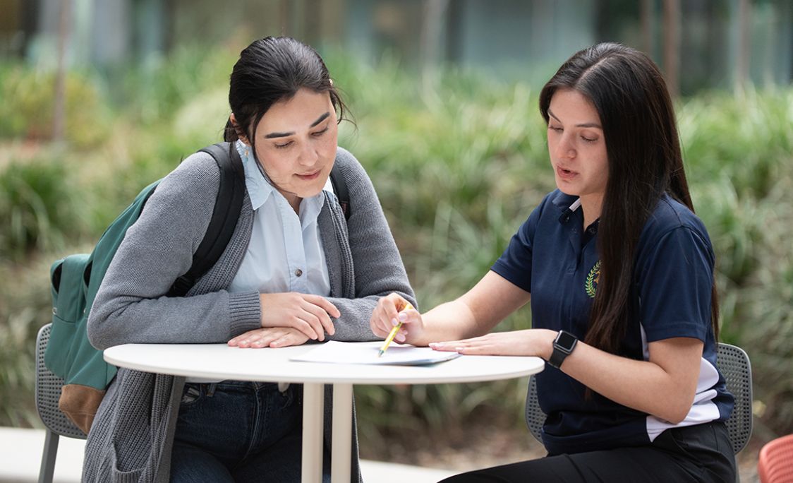 student and advisor working on a application form