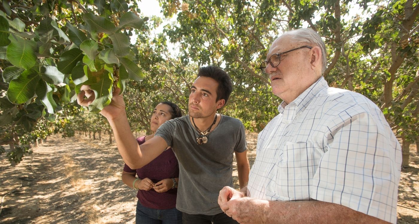 huntley faculty member and students analyzing tree