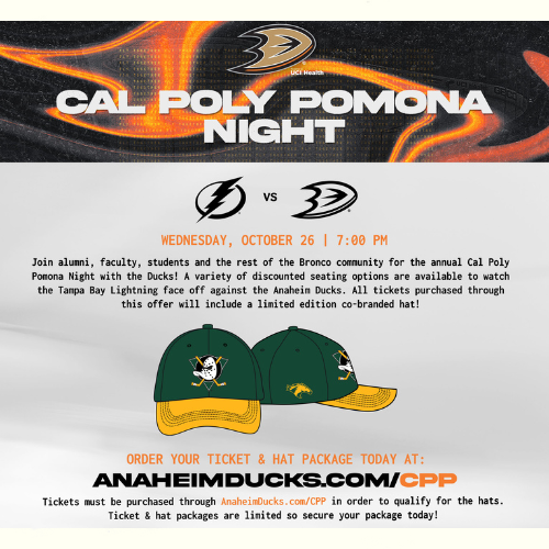 photo of promo hat with ducks logo