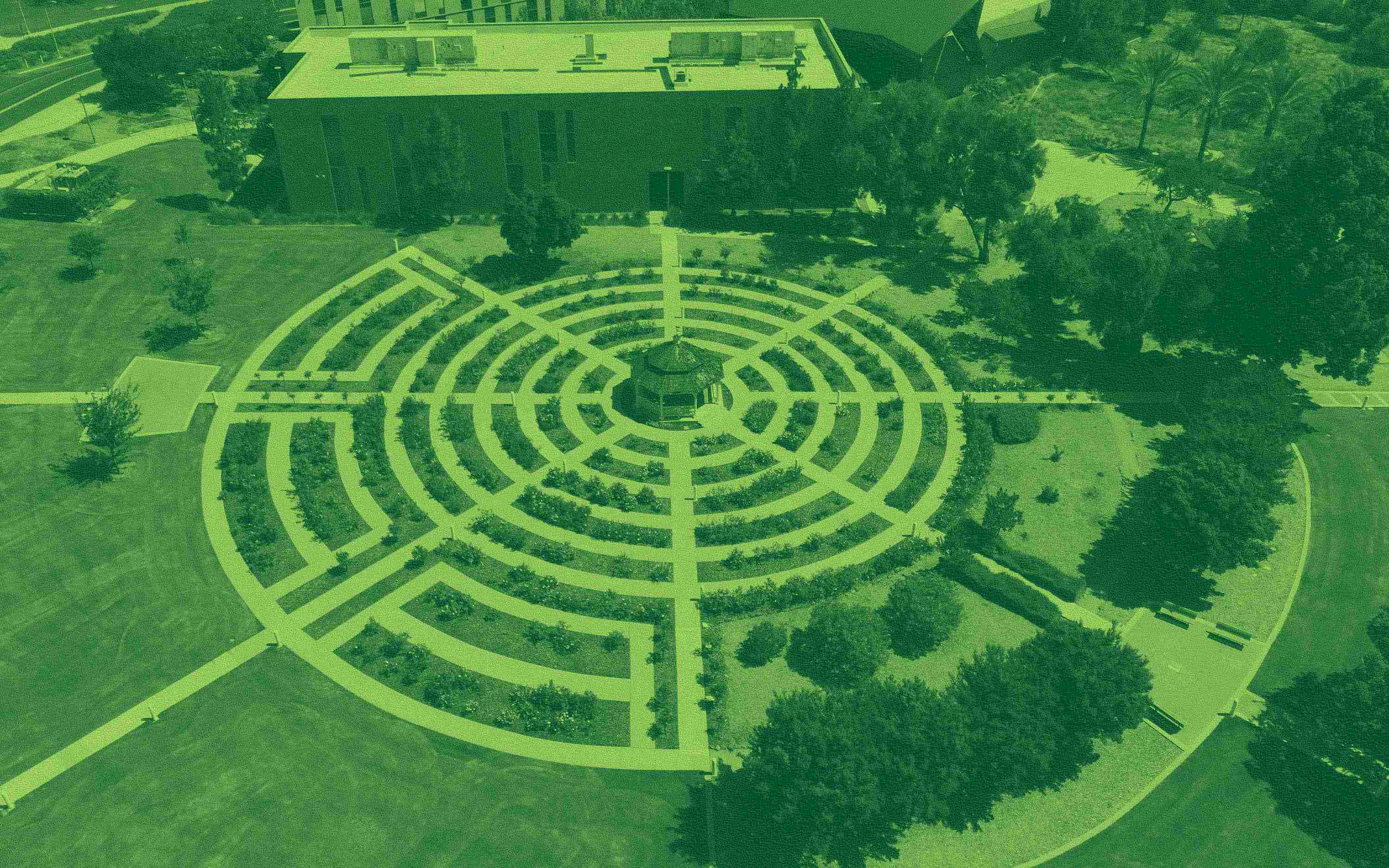 aerial view of rose garden